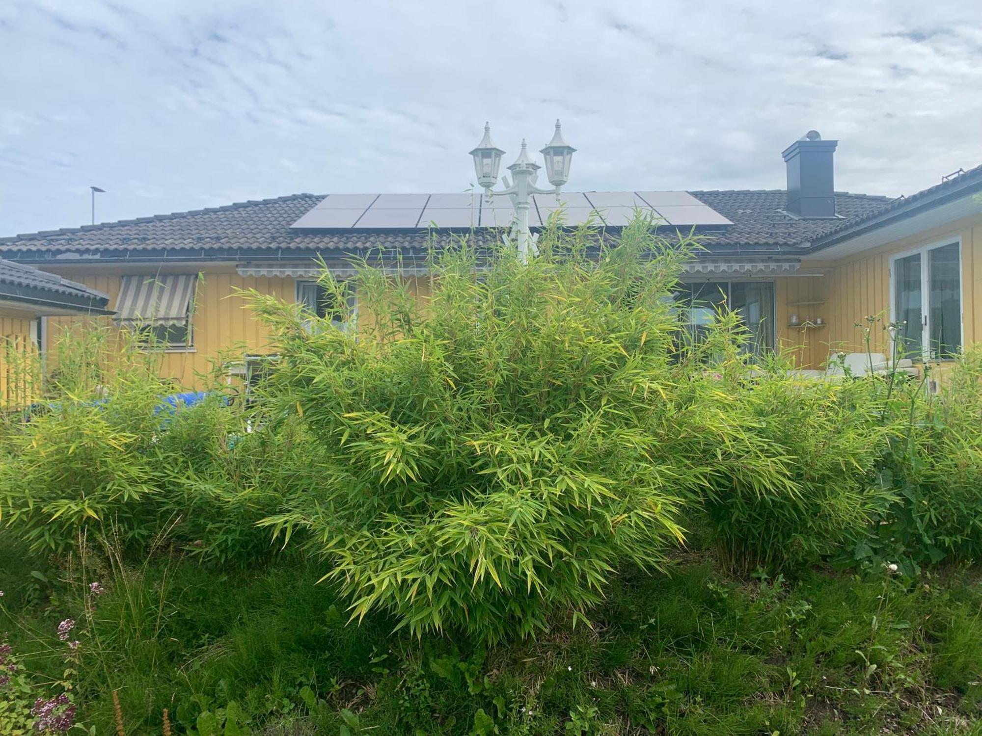Modern Apartment With Pool & Sauna Porsgrunn Eksteriør bilde
